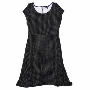 NWT The Limited Polka Dot Dress - M